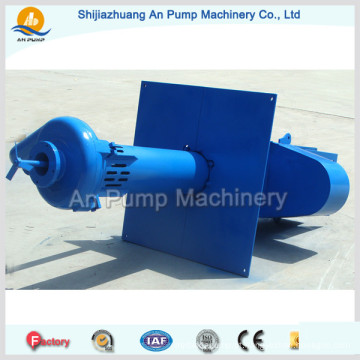 China Mineração de ouro de alta capacidade Sp (R) Vertical Sump Slurry Pump